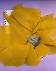 Latido Spilla