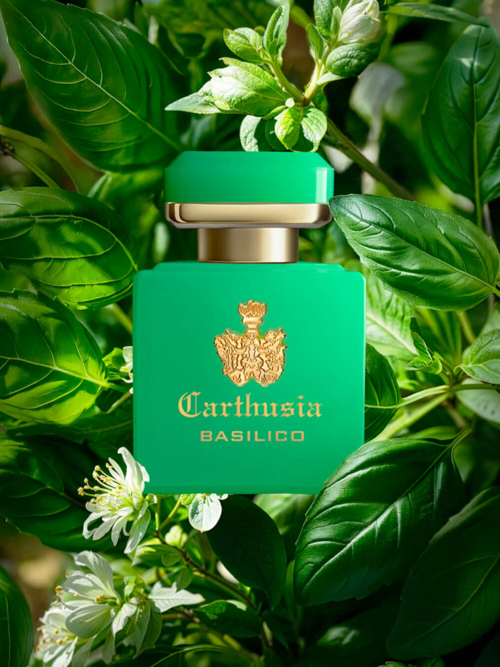 Carthusia Intenso di Basilico